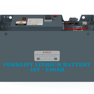 Bình ắc quy Lithium 48V 230Ah xe nâng điện đứng lái